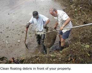 Clean debris in front of your property.