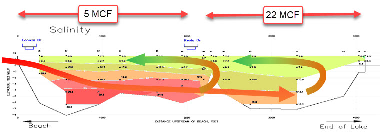 Increased salinity exchange after dredging