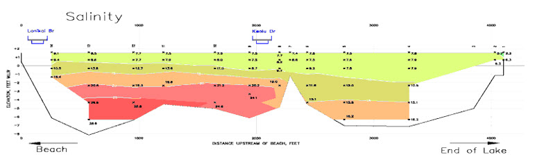 Current conditions at site 1