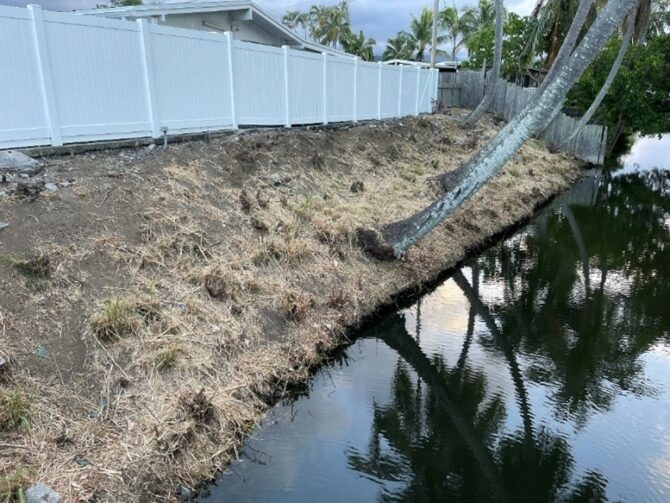 trimmed vegetation on canal